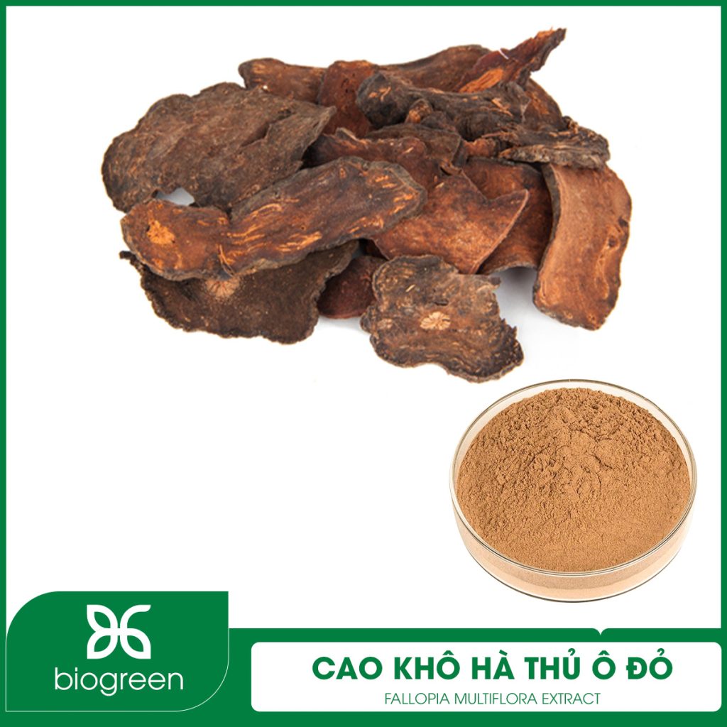 Cao khô Hà thủ ô đỏ