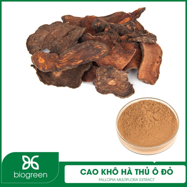 Cao khô Hà thủ ô đỏ