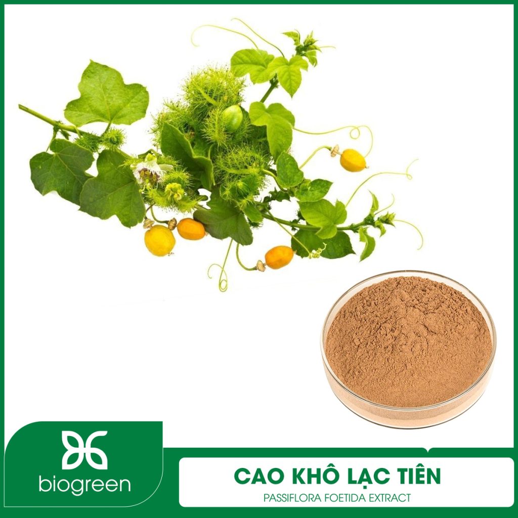 Cao khô Lạc tiên