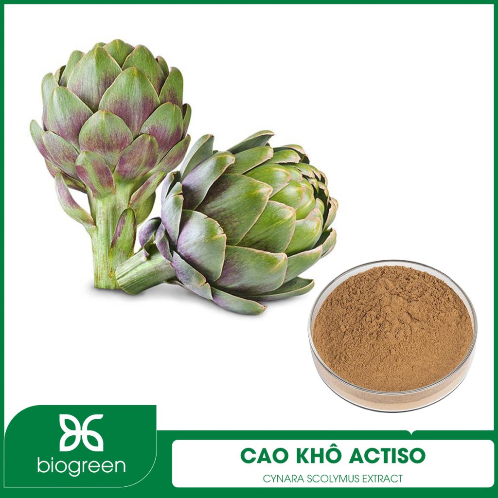 Cao khô Actiso
