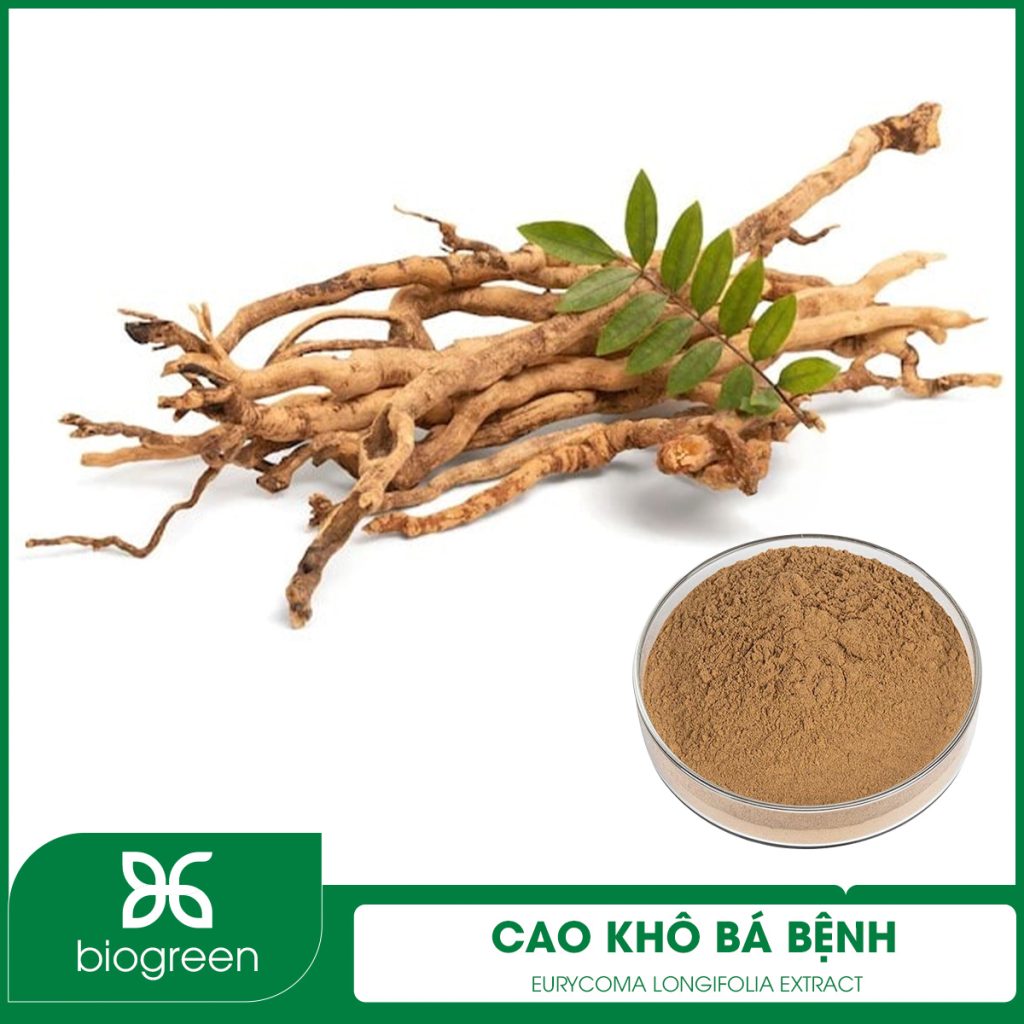 Cao khô Bá bệnh