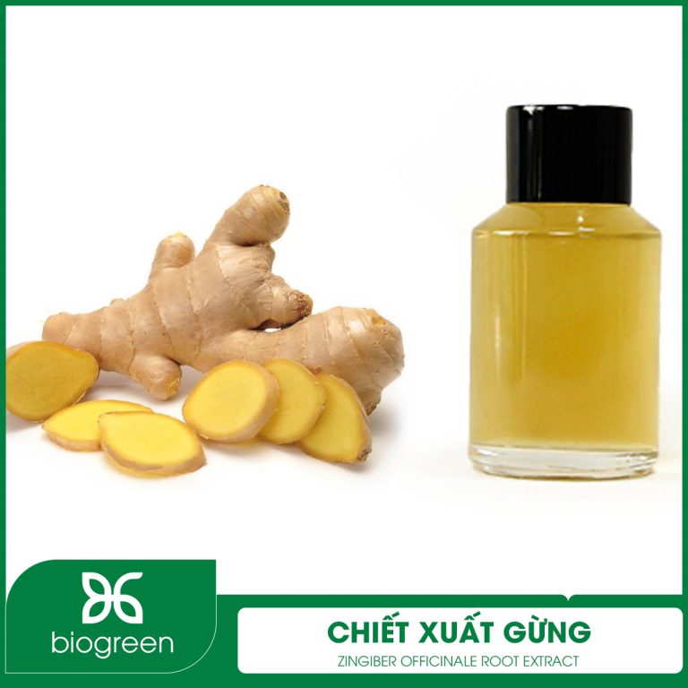Chiết xuất Gừng