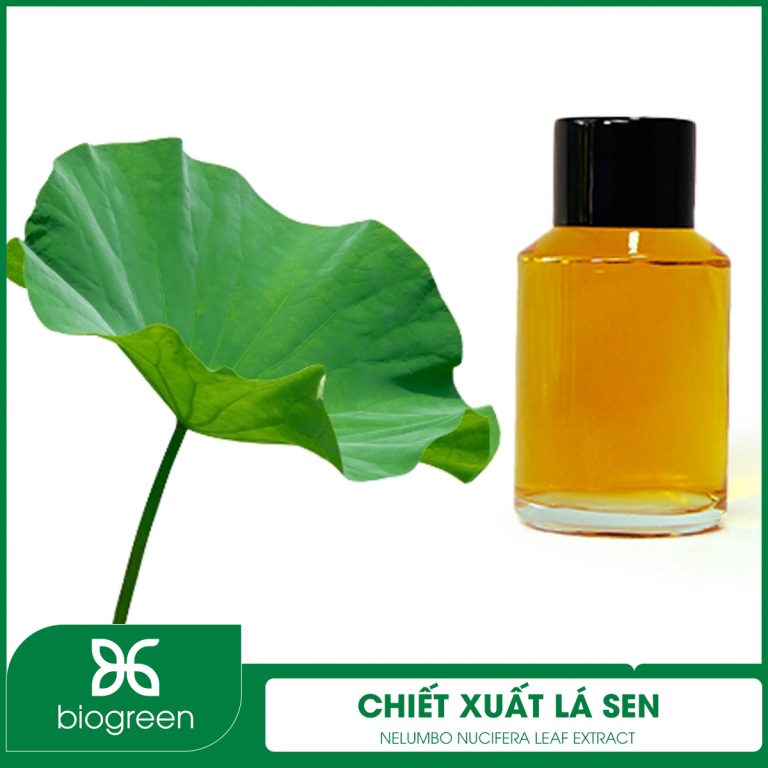 Chiết xuất Lá sen