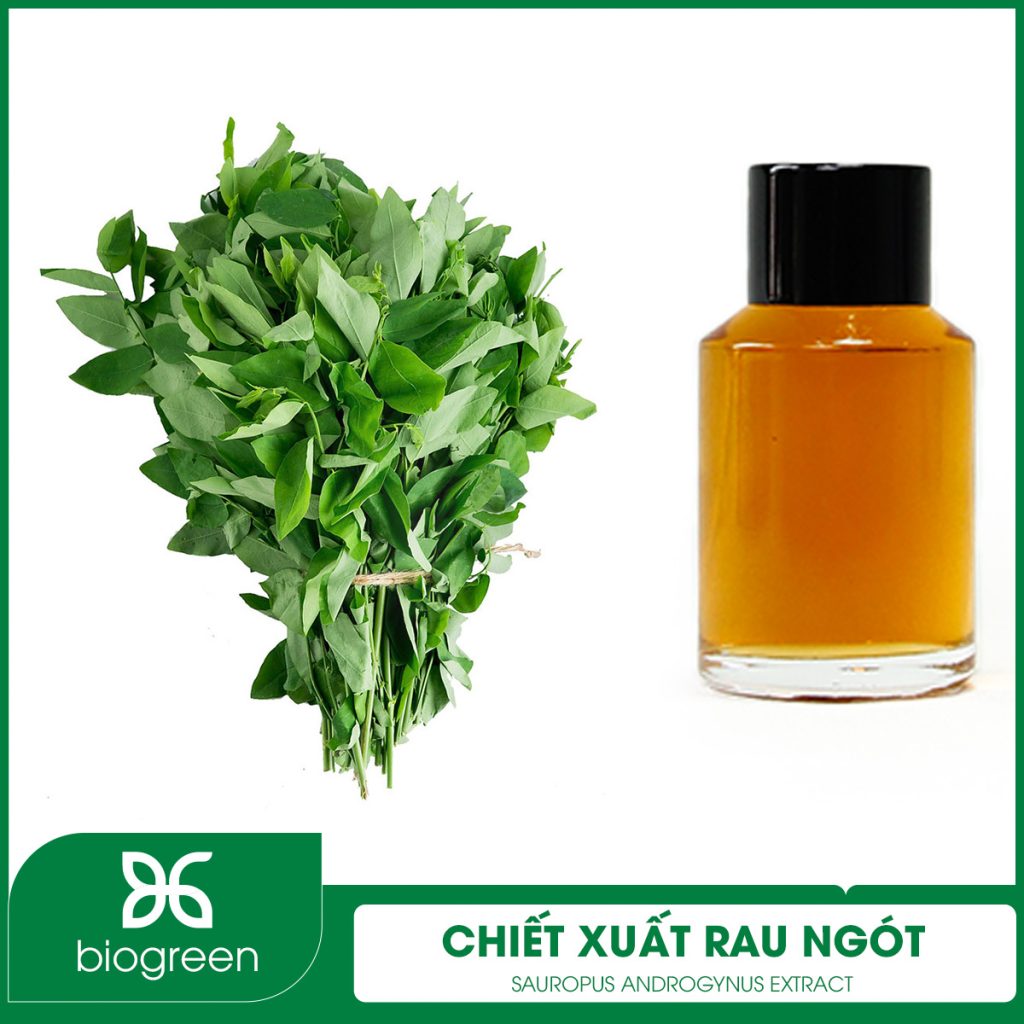 Chiết xuất Rau ngót