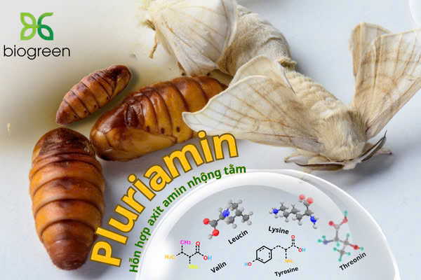 Pluriamin