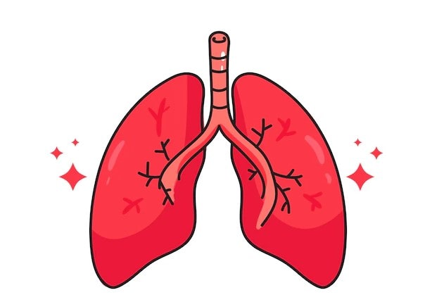 Amylase trong dịch màng phổi có ý nghĩa như thế nào? 3