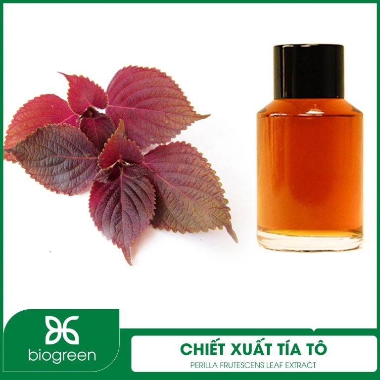Chiết xuất Tía tô