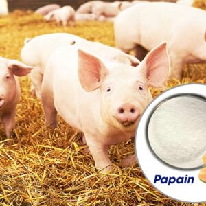 Enzyme Papain trong Chăn nuôi thú y