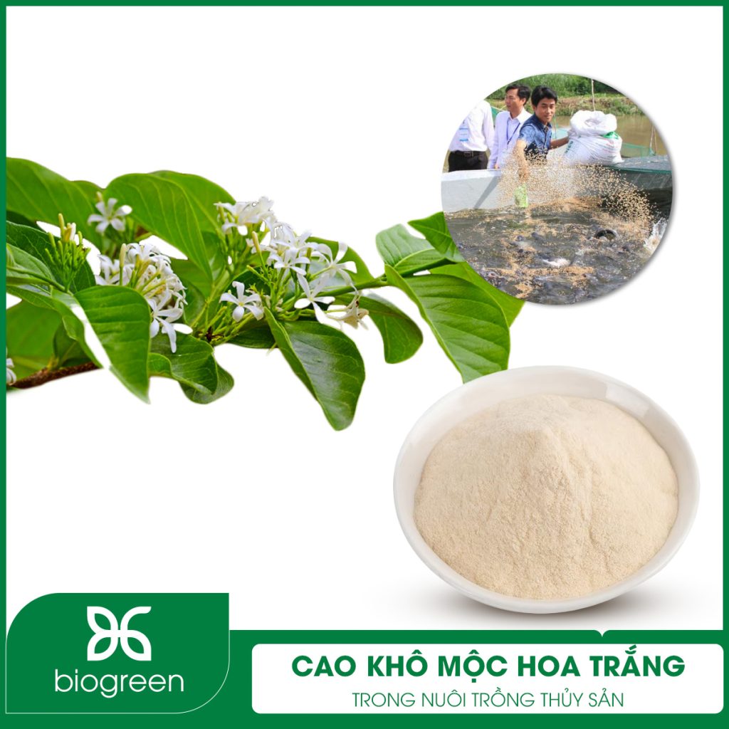 Cao khô Mộc hoa trắng trong Chăn nuôi thú y
