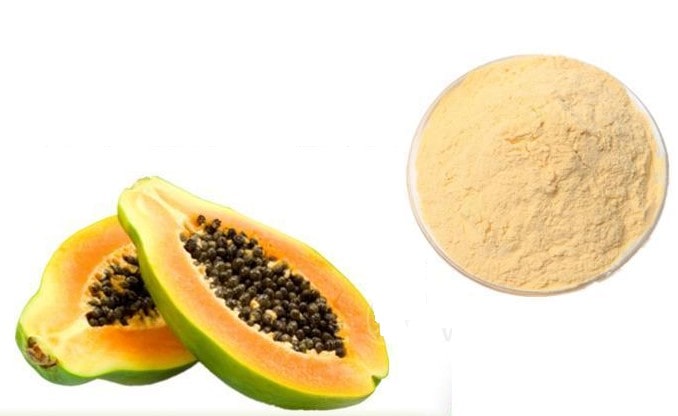 Bột Carica papaya extract - Papaya fruit powder