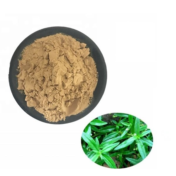 Cao khô Bạch hoa xà thiệt thảo 4 Cao khô Bạch hoa xà thiệt thảo 3