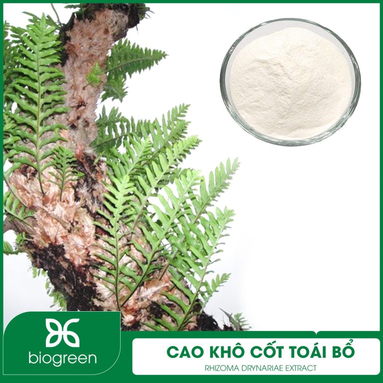 cao khô cốt toái bổ