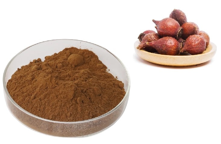 Cao khô kim anh tử 3
