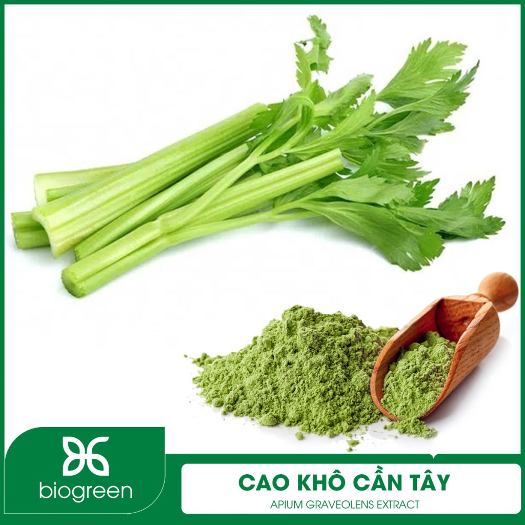 Cao khô Cần tây