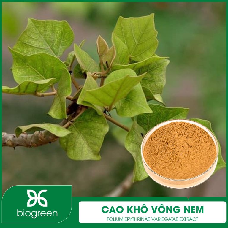 Cao khô Vông nem
