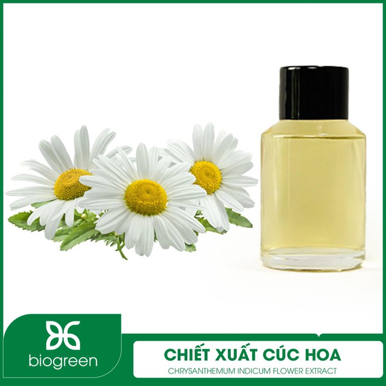 Chiết Xuất Cúc Hoa