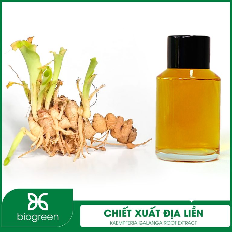 Chiết xuất Địa liền