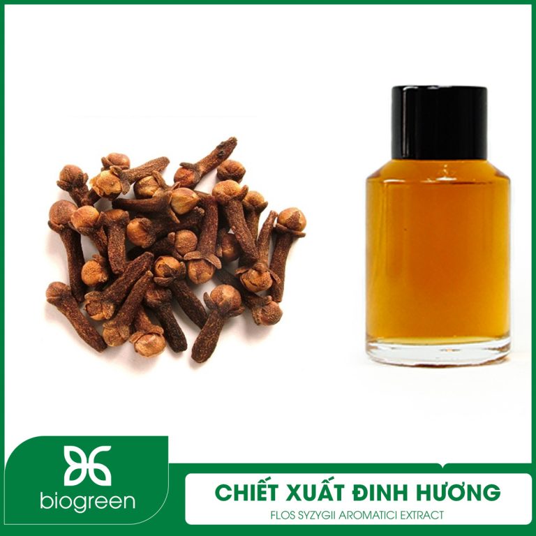 Chiết Xuất Đinh Hương