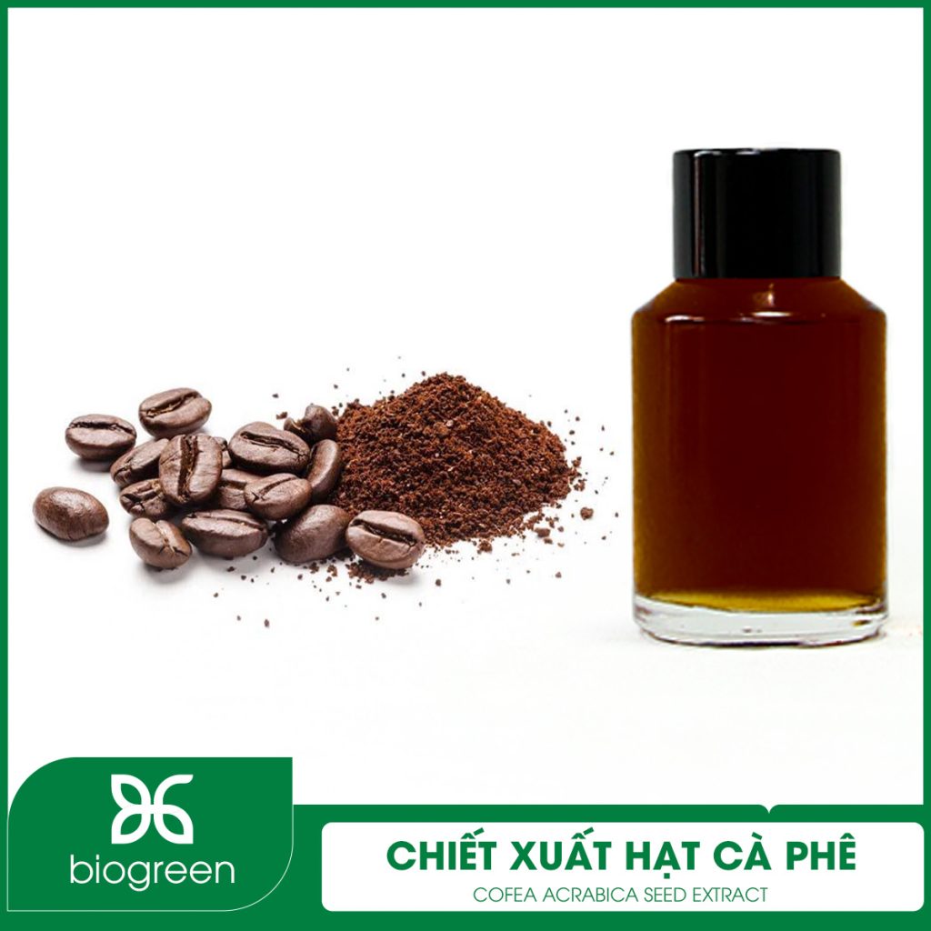 Chiết Xuất Hạt Cà Phê