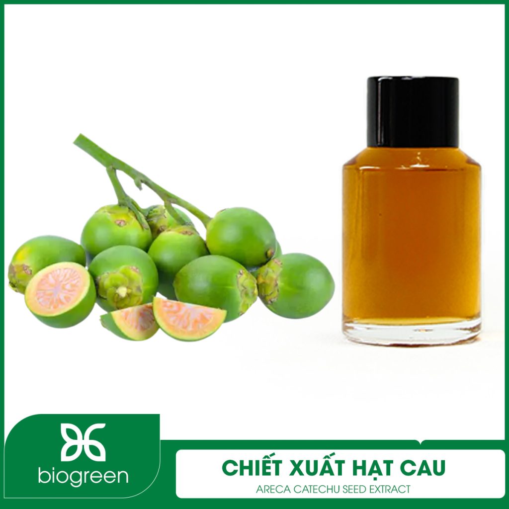 Chiết Xuất Hạt Cau