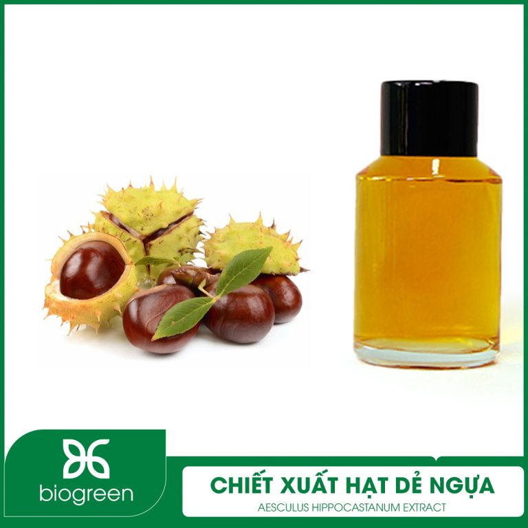 Chiết Xuất Hạt Dẻ Ngựa