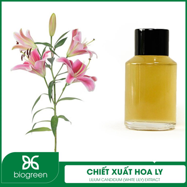 Chiết Xuất Hoa Lily