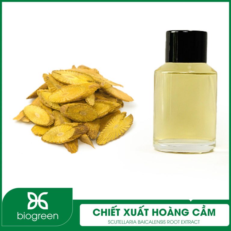Chiết Xuất Hoàng Cầm