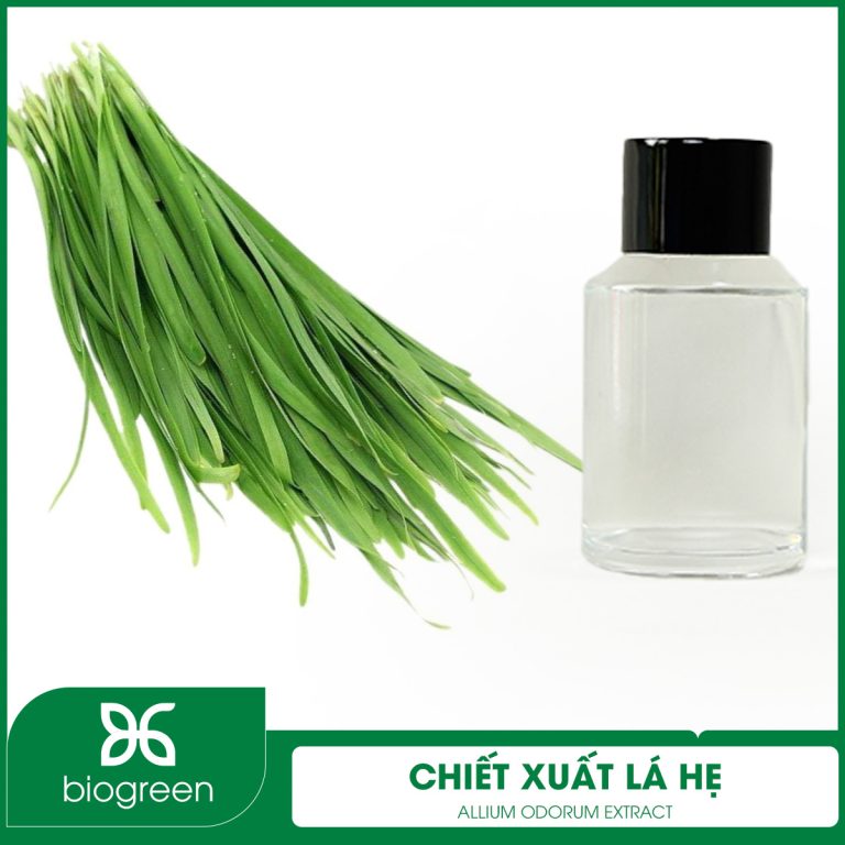 Chiết Xuất Lá Hẹ