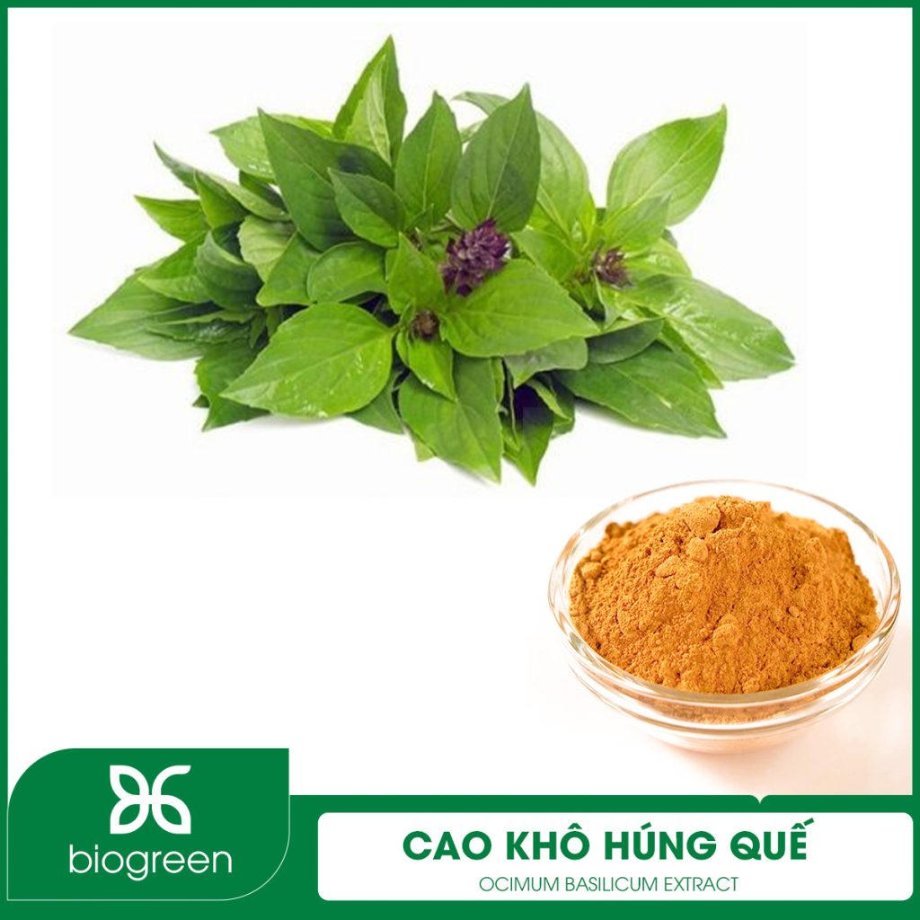 Cao Khô Húng Quế