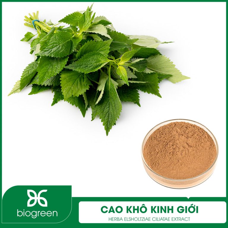 Cao khô Kinh giới