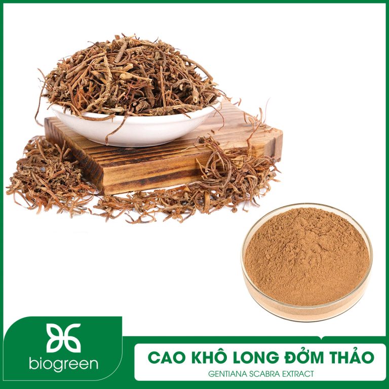 Cao khô Long đởm thảo