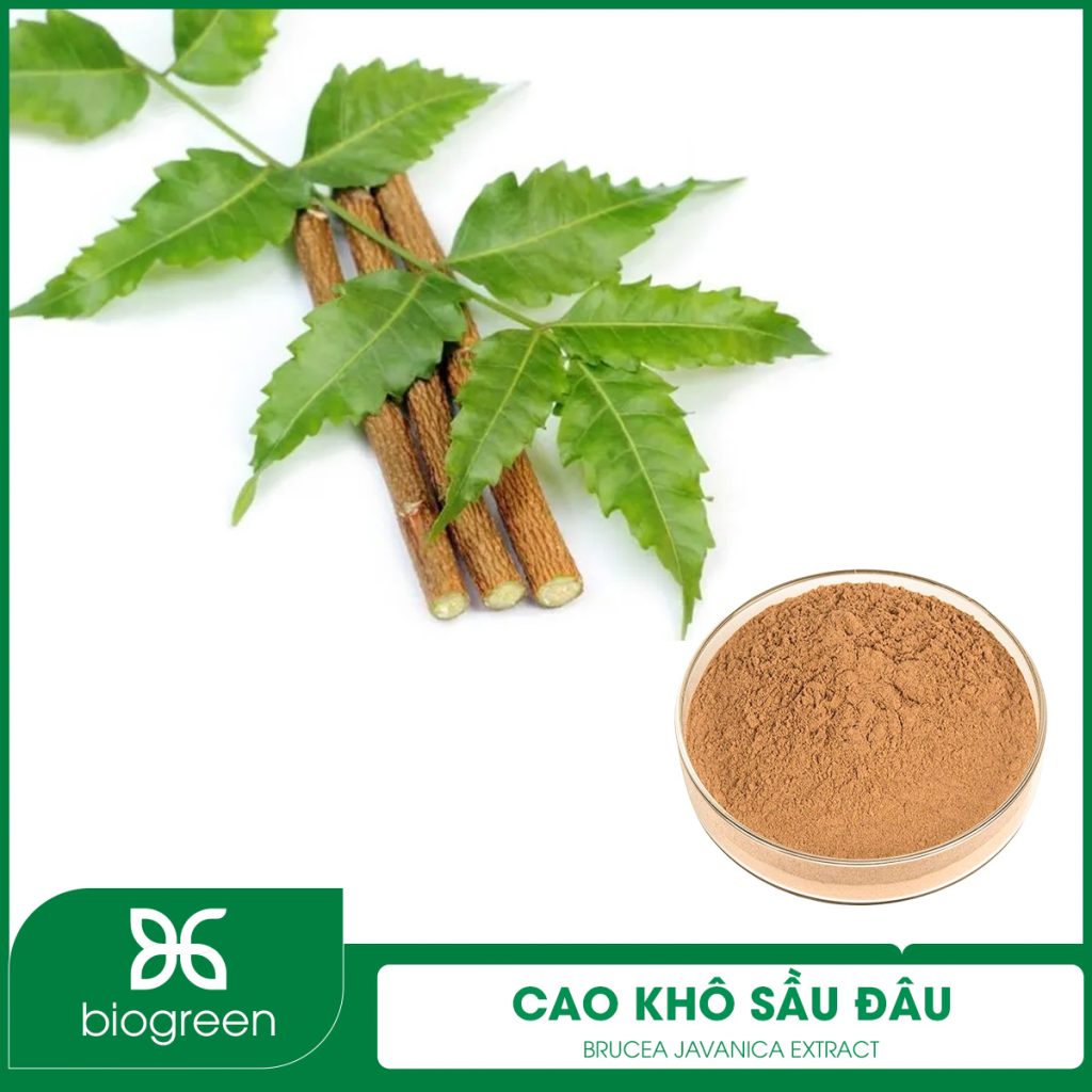 Cao khô Sầu đâu