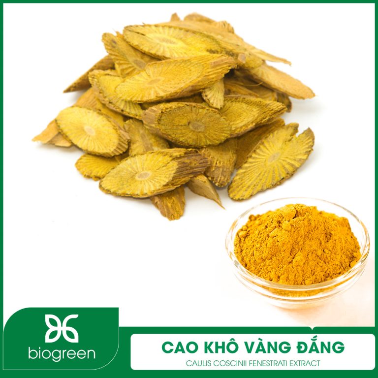 Cao khô Vàng đắng