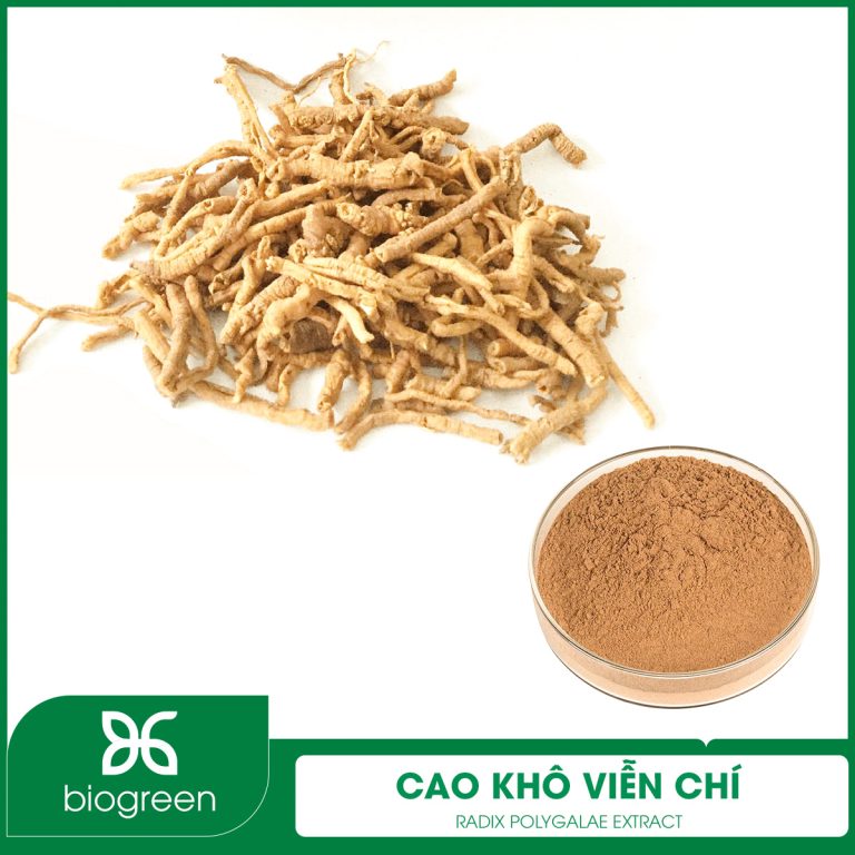 Cao khô Viễn chí