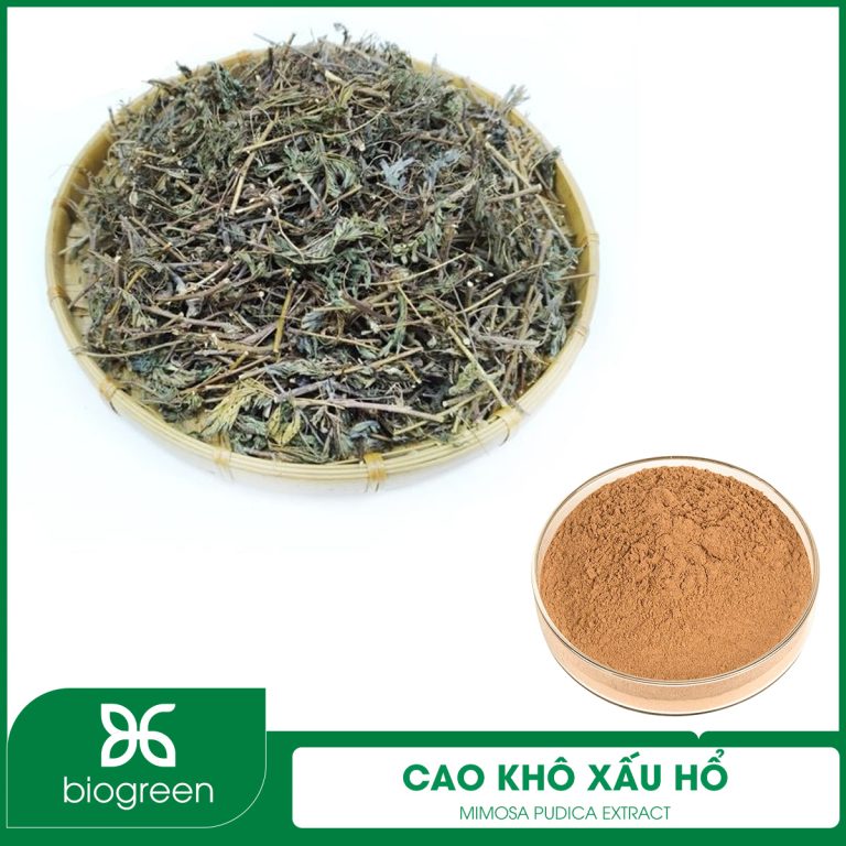 Cao khô Xấu hổ