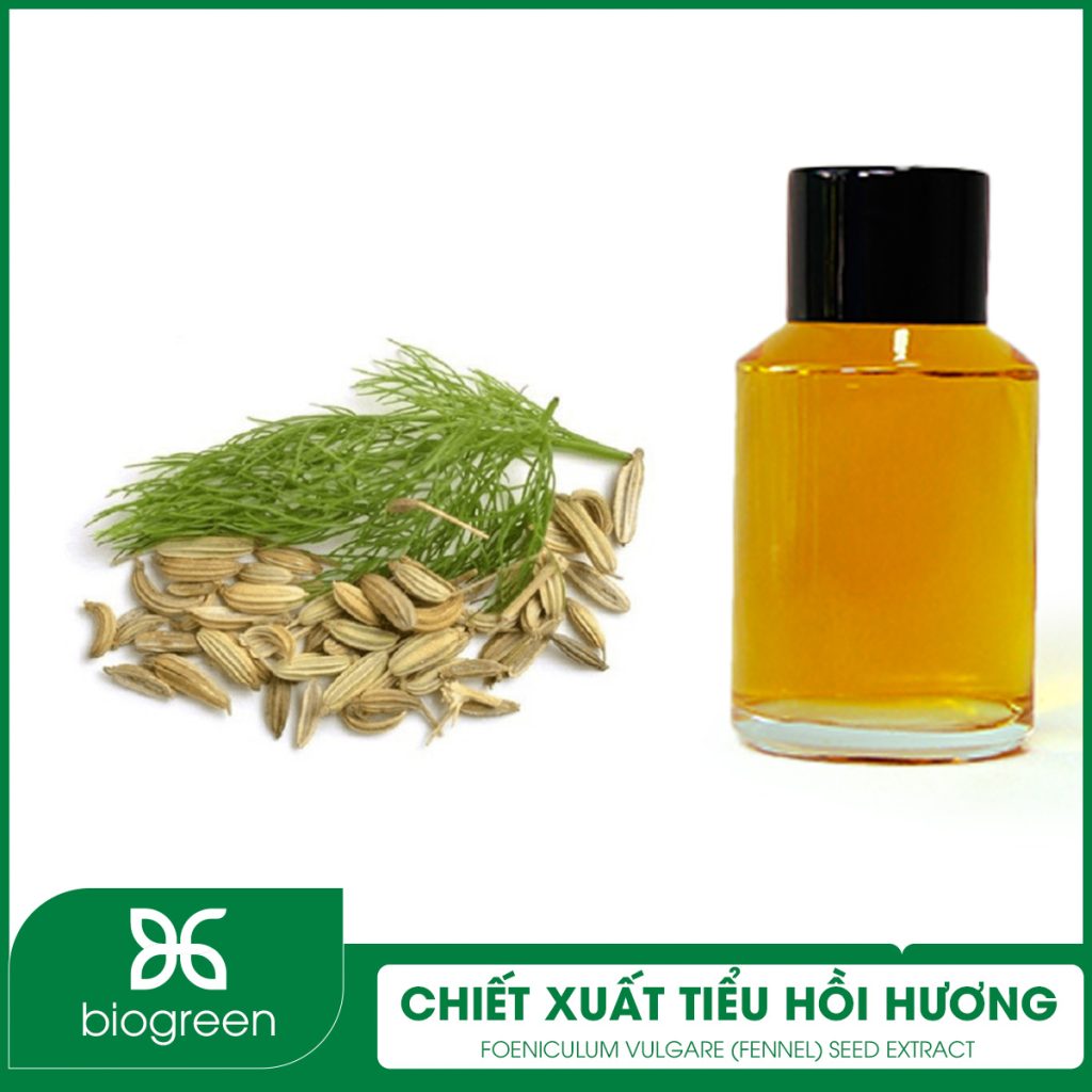 Chiết xuất Tiểu hồi hương