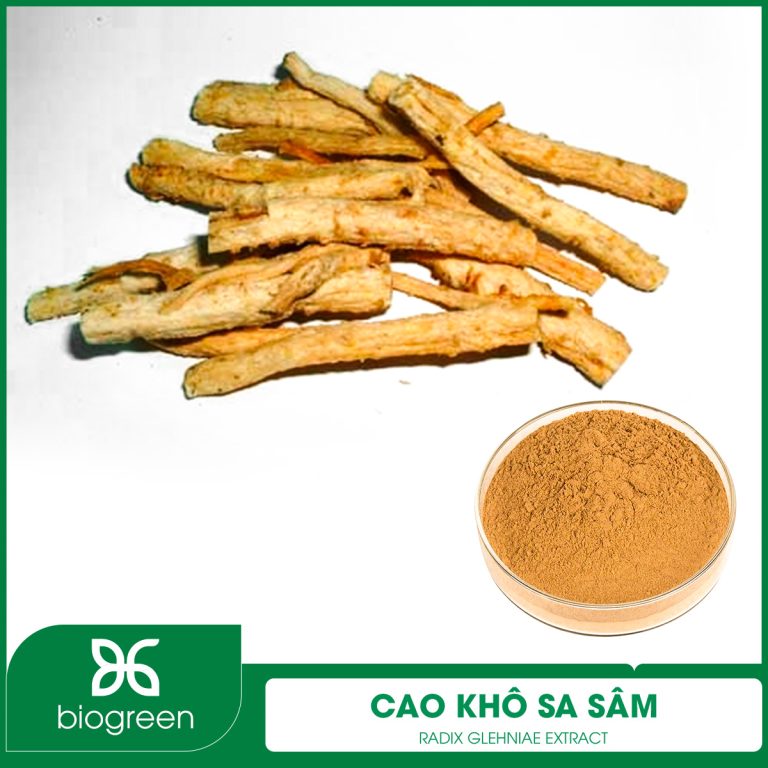 Cao khô Sa sâm