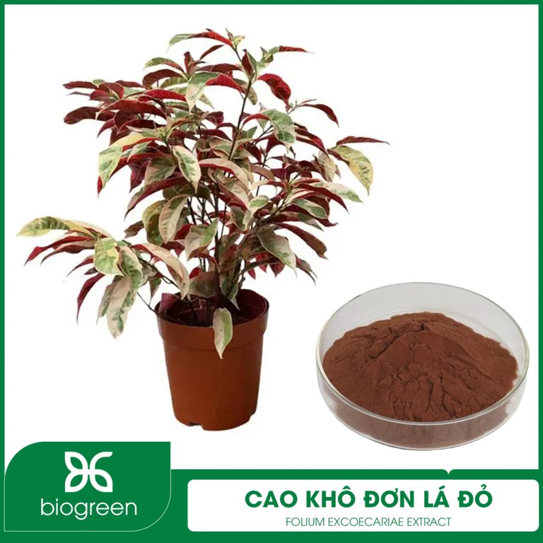 cao khô đơn đỏ