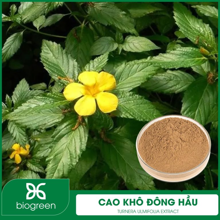 Cao Khô Đồng Hầu