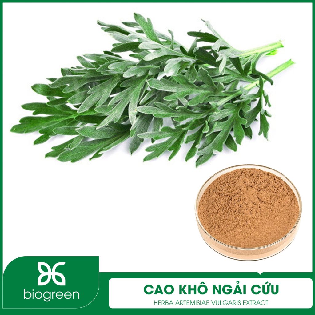 Cao khô Ngải cứu