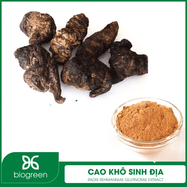 cao khô địa hoàng