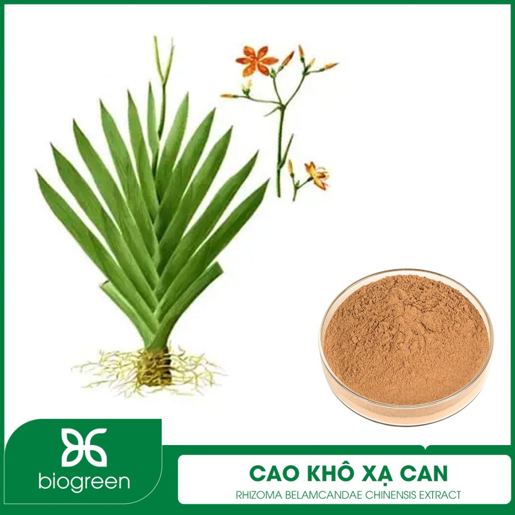 Cao khô Rẻ quạt