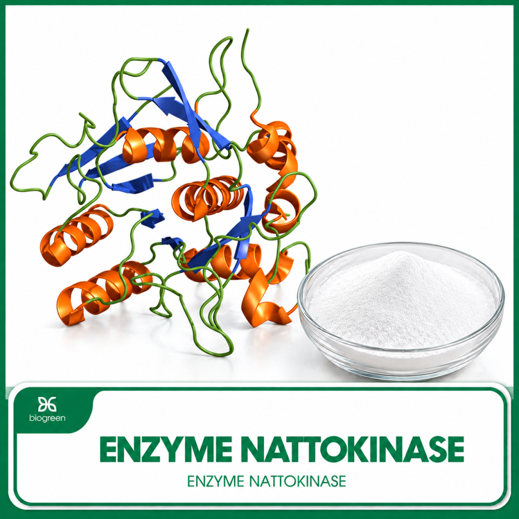 Enzyme Nattokinase