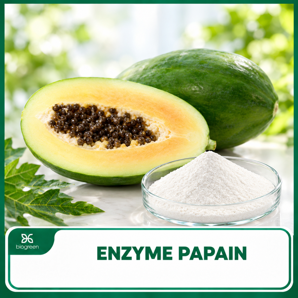 Enzyme Papain