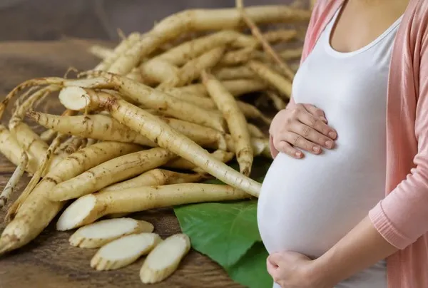 Bách bộ có dùng được cho bà bầu? Những lưu ý quan trọng