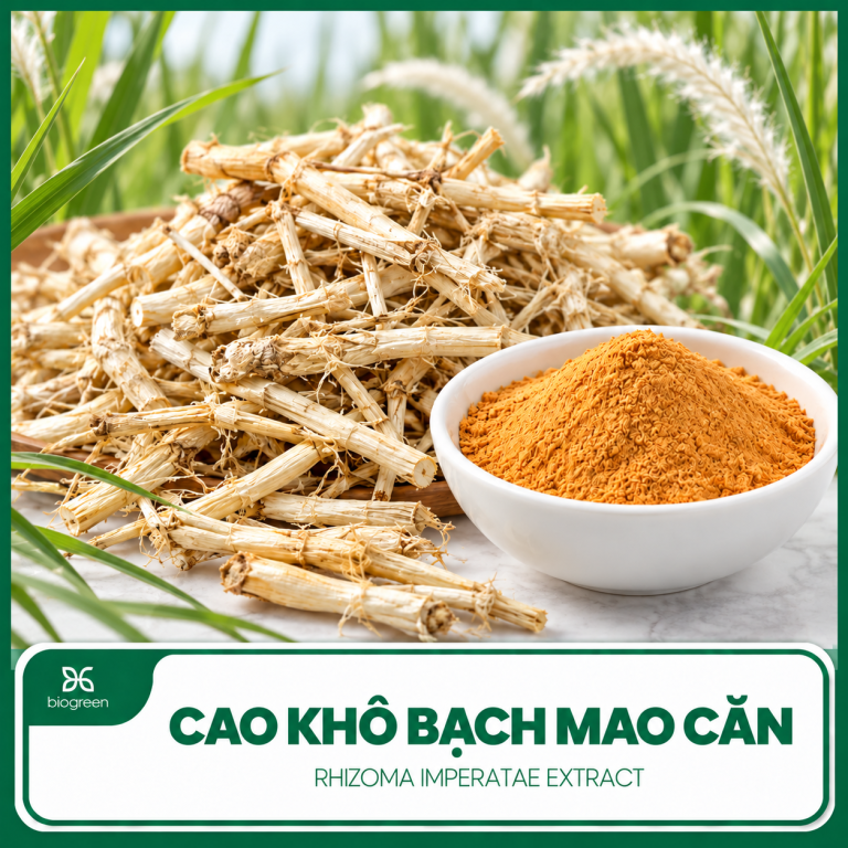 cao kho bach mao can