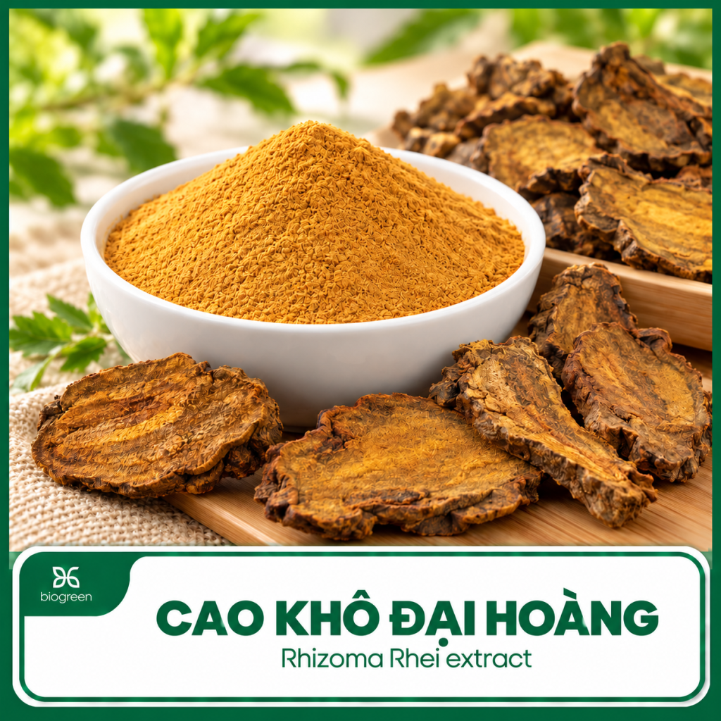 Cao khô Đại hoàng