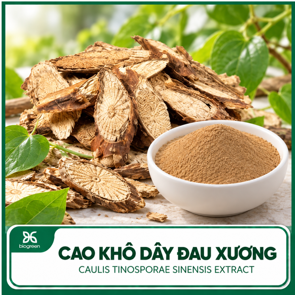 Cao khô Dây đau xương