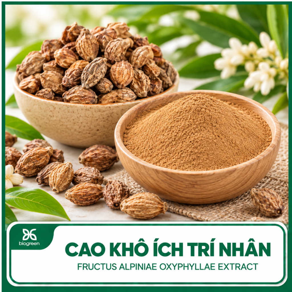 Cao khô Ích trí nhân