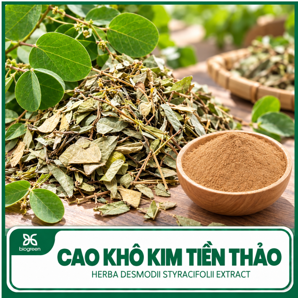 Cao khô Kim tiền thảo